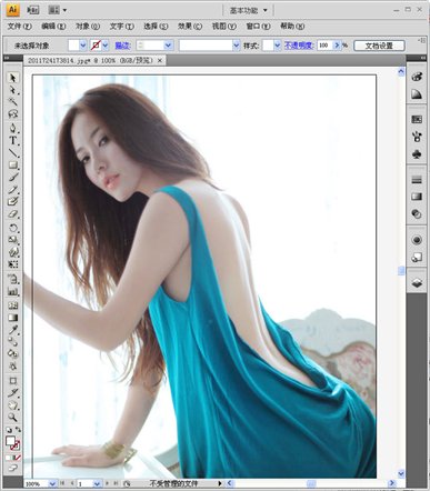 Adobe Illustrator CS4 绿色中文版